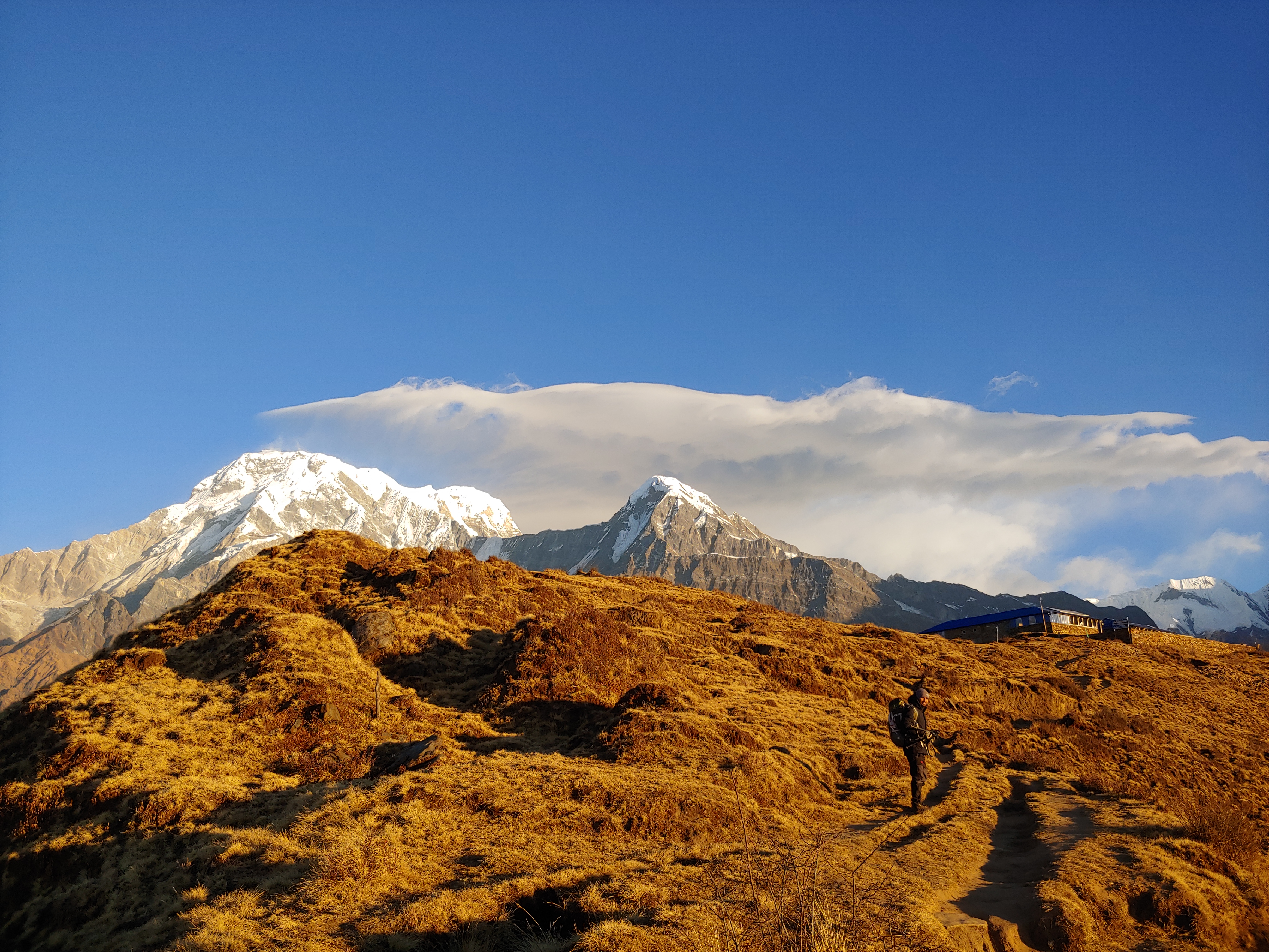 Mardi Himal Trekking